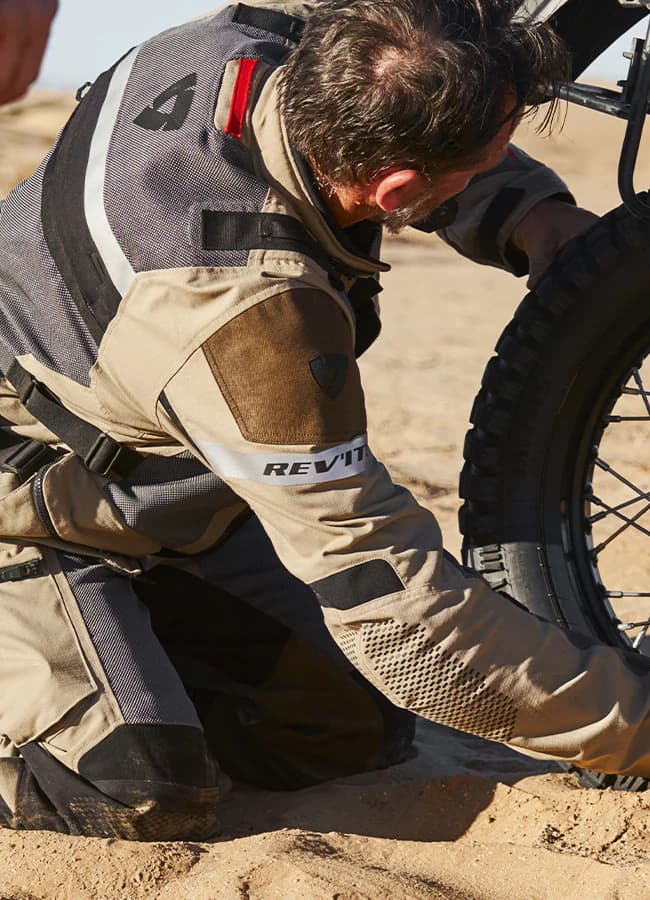Birds of paradise against a wall